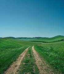 Fototapeta na wymiar b'dirt road through a lush green grassy field with hill'