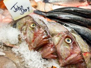Fresh John Dory fish on ice on a fishmonger's market stall