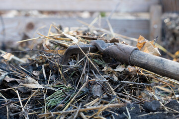 Nahaufnahme von Pflanzenkohle (Biochar) im Kompost / die eingearbeitet wird / Konzept: Permakultur...