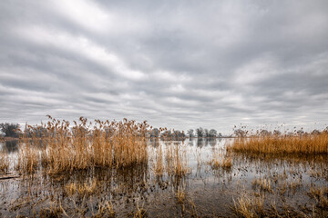 Landschaft an der Oder