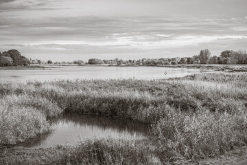 Landschaft an der Oder