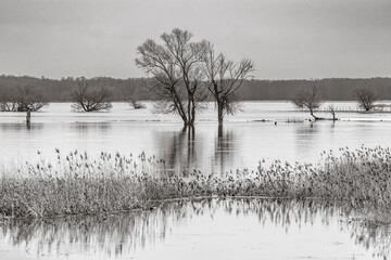 Landschaft an der Oder