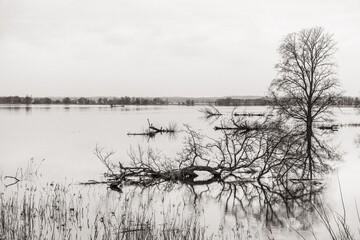 Landschaft an der Oder