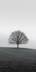 b'Black and white photo of a tree on a hill'