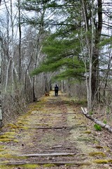 walking the trail on the old abandoned railroad tracks