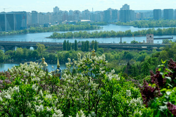 Landscape botanical park on a bright sunny spring day