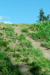 Landscape botanical park on a bright sunny spring day