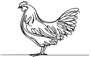 Chicken and hean hand drawn