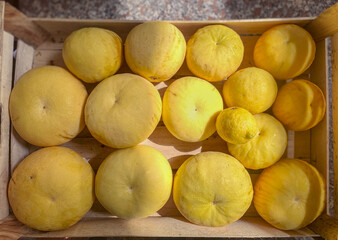 Some big grapefruit in wooden box