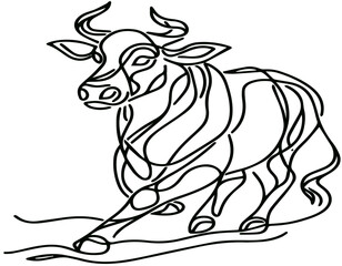 black and white bull