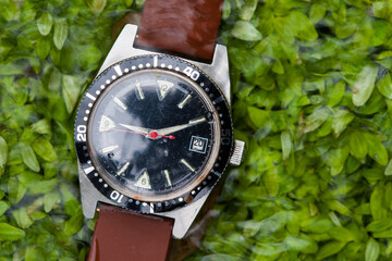 A sturdy outdoor watch, used and waterproof, lies on green plants in the creek, washed by the clear...