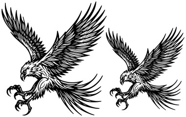 silhouette flying eagle , hawk, falcon