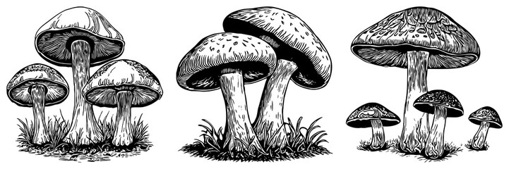 Mushrooms . Black and white line art. Logo design for use in graphics. T-shirt print, tattoo design. Generated by Ai - obrazy, fototapety, plakaty
