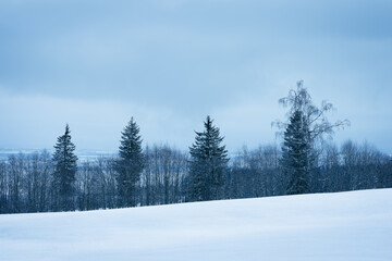 Images from Kronborgsetergrenda at Toten, Norway, a winter morning in March.