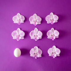 Creative layout made of light purple orchid flowers and one whit egg on purple background. Flat lay.