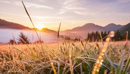 A vibrant meadow at sunrise, with dewdrops glistening on the grass