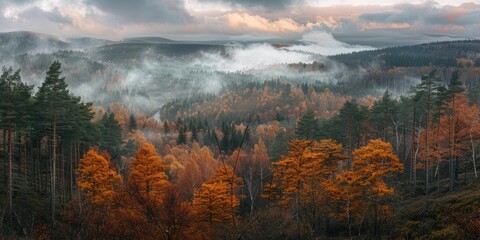 Breathtaking view of the forest in autumn in the mountains