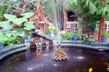A wonderful fountain in which carps swim.