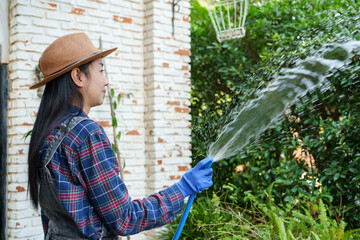 Fototapeta premium Joyful Woman in gardening outfit, hat, and gloves directs water from hose to plants, smiling at the spray against a brick wall. flower garden owner Taking care of trees for sale