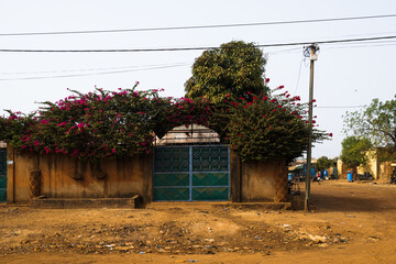 gate on a walled property with colorful plants, ouagadougou, burkina faso - obrazy, fototapety, plakaty