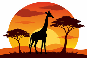 Giraffe  Silhouette on Sunset Branch Vector Illustration for Wall Art & Posters white background