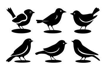 set of birds on white background, set of birds with different poses