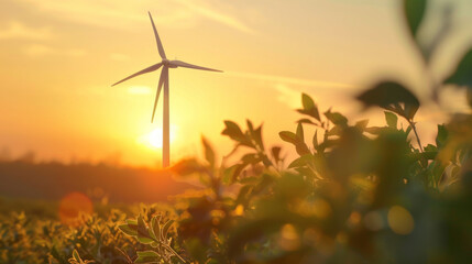 Renewable energy meets golden hour