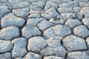 Desiccated Terrain, Textured Cracks in Arid Soil.