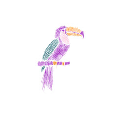  Hand Drawn Sketch toucan bird design vector