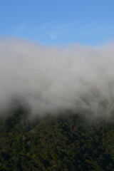 fog in the mountains