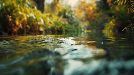 Fototapeta premium b'Close-up of a river flowing through a forest'