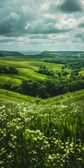 Fototapeta premium b'Green rolling hills landscape with white flowers in the foreground'