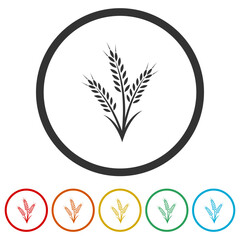 Wheat ears icon. Set icons in color circle buttons