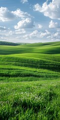 Naklejka premium b'Green rolling hills under blue sky and white clouds'