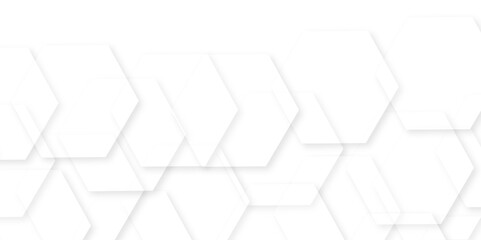 Abstract white background with hexagon and hexagonal background. Luxury white pattern with hexagons. abstract 3d hexagonal background with shadow. 3D futuristic abstract honeycomb mosaic background.