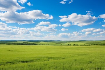 Naklejka premium b'Beautiful green grassland scenery under blue sky and white clouds'