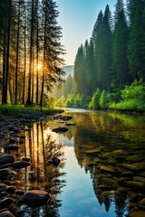 Fototapeta na wymiar b'The sun rises over a river in the forest'