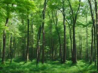 Fototapeta na wymiar Morning in a green forest full of trees full of beauty. AI Generated