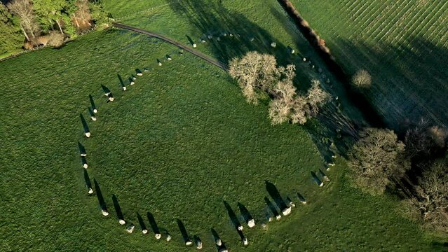 Long Meg and Her Daughters. Prehistoric Neolithic stone circle. Langwathby, Cumbria, UK. Video fly down of circle to Long Meg tall outlier stone