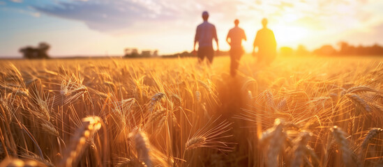 People Walking Through Golden Wheat Field at Sunset