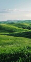b'Grassland scenery with green hills and blue sky'