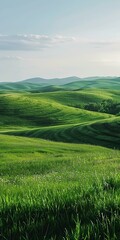 Fototapeta premium b'Grassland scenery with green hills and blue sky'