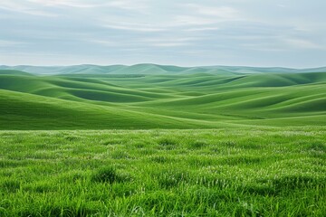 Fototapeta premium b'Green rolling hills under a blue sky'