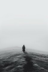 b'Black and white photo of a person walking alone in a foggy landscape'