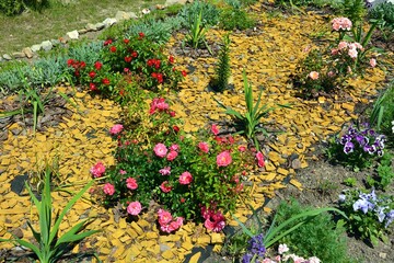 Obraz premium A garden of flowers and plants lined with decorative bark on the ground
