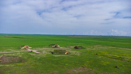 car moves in green field farm top view