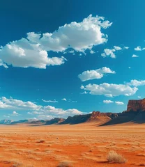 Foto op Aluminium b'A vast desert landscape with red rocks and blue sky' © duyina1990