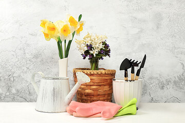 Gardening tools, hyacinth flowers and daffodils, watering can on concrete background. Concept of spring gardening work. Floral arrangement for banner. Mockup for design with place for display.
