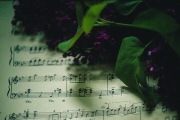 branch with lilac flowers on a background of music notes close-up