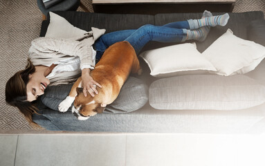 Woman, relax and sofa with dog as top view in home as best friend bonding, connection or laughing....
